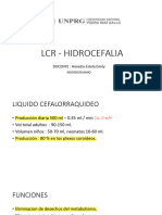 Hidrocefalia Clase 4 Unrpg 1