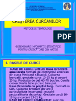8257 - Cresterea Curcanilor1