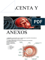 Placenta