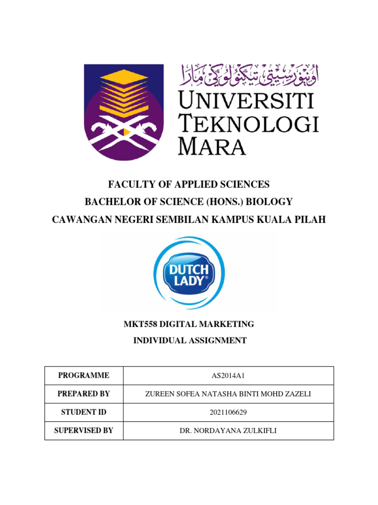 individual-assignment-mkt-558-pdf-marketing-waste