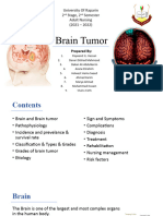 Brain Tumor (Group B)