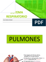 Tema 15 Sistema Respiratorio