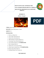 INFORME PIROLISIS?.pdf,...