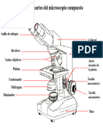 Microscopio Rotulado