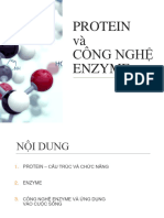 2023 BAI 2 - PROTEIN và CÔNG NGHỆ ENZYME