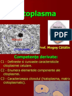 Citoplasma Fundamentala(Prezentare Catalin)