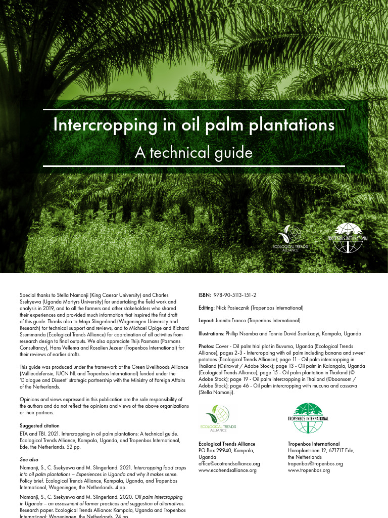 Intercropping In Oil Palm Plantations A Technical Guide Pdf Palm