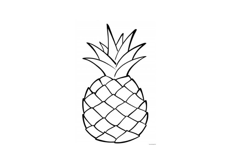 ANANAS PDF