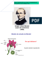 Leyes de Mendel 