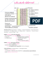 Hérnias Da Parede Abdominal