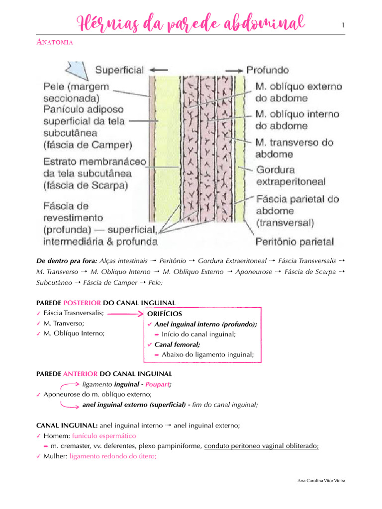 Hérnias Da Parede Abdominal | PDF | Especialidades médicas | Anatomia