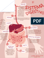 Sistema Digestivo Alberto Doble P