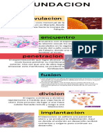 Colorful Professional Chronological Timeline Infographic