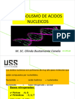 Clase 13 Metabolismo de Acidos Nucleicos