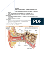 MORFOFISIO - Orelha e Audição