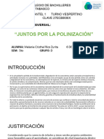 Juntos Por La Polinización 5d Segundo Parcial