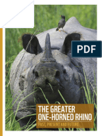 The Greater One Horned Rhino Past Present and Future