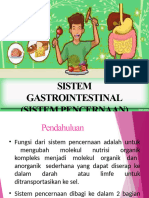 Sistem Gastrointestinal