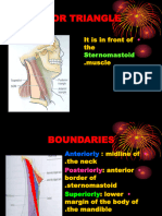 Anterior Triangle