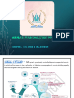 CELL CYCLE - Merged