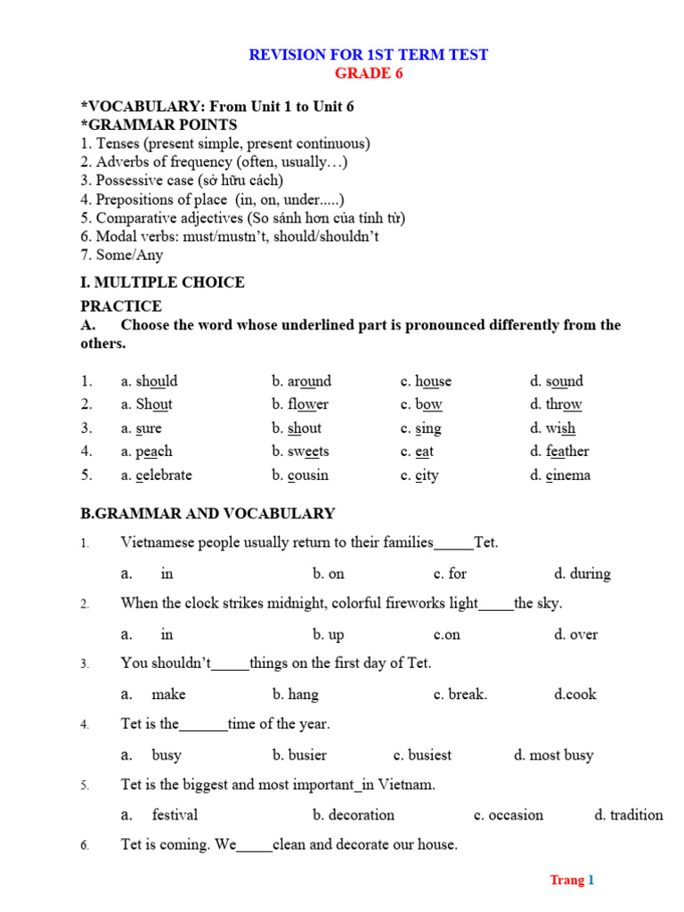 Grade 6 Term Test Revision Guide | PDF
