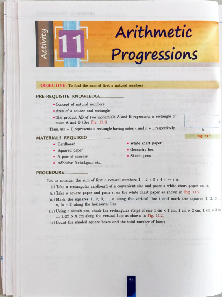 Mathematics Activity 5 | PDF