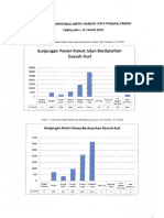 Grafik Demografi