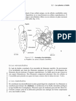 Plasmides Auto