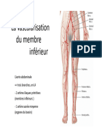 2B21-22 - Cours 1a - Vascularisation MI