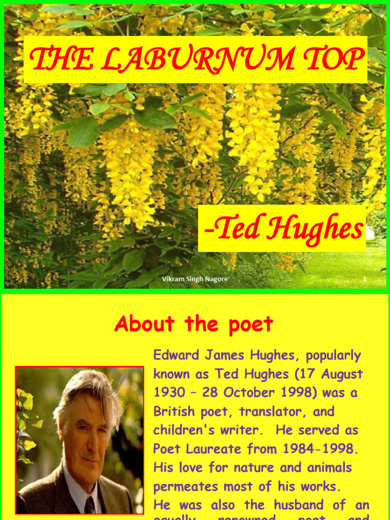 XI P.2 PPT of THE LABURNUM TOP PDF