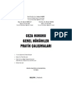 Ceza Genel Pratik-H.hakeri