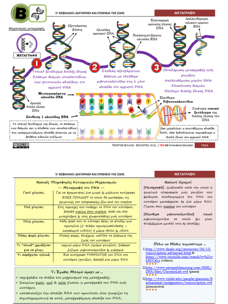 C12 Metagrafi | PDF
