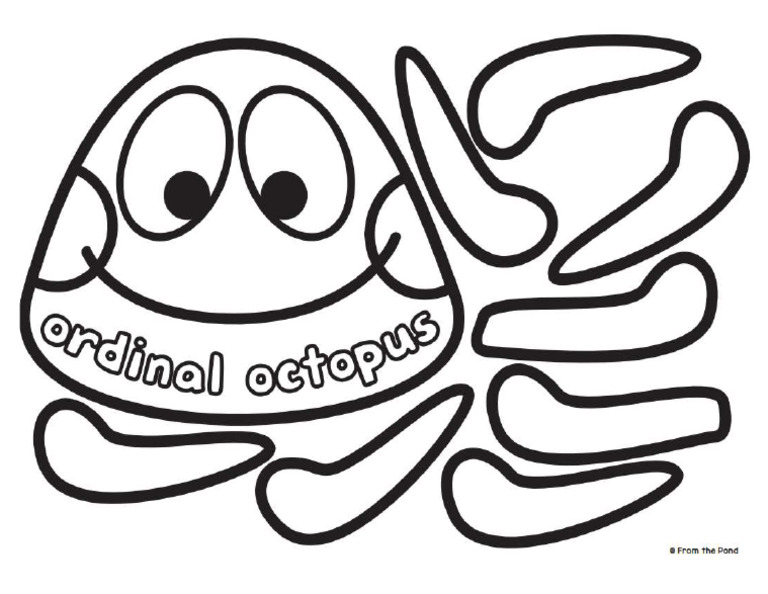Ordinal-Octopus Material | PDF