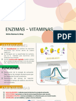 Vitaminas y Enzimas