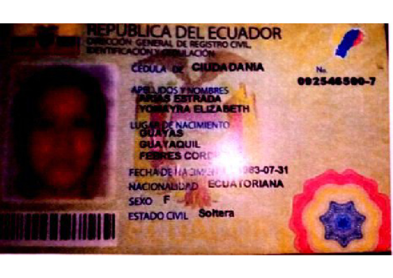 Documento 2024 PDF