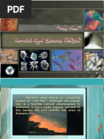 Download Harmfulalgal by api-3706215 SN6986387 doc pdf