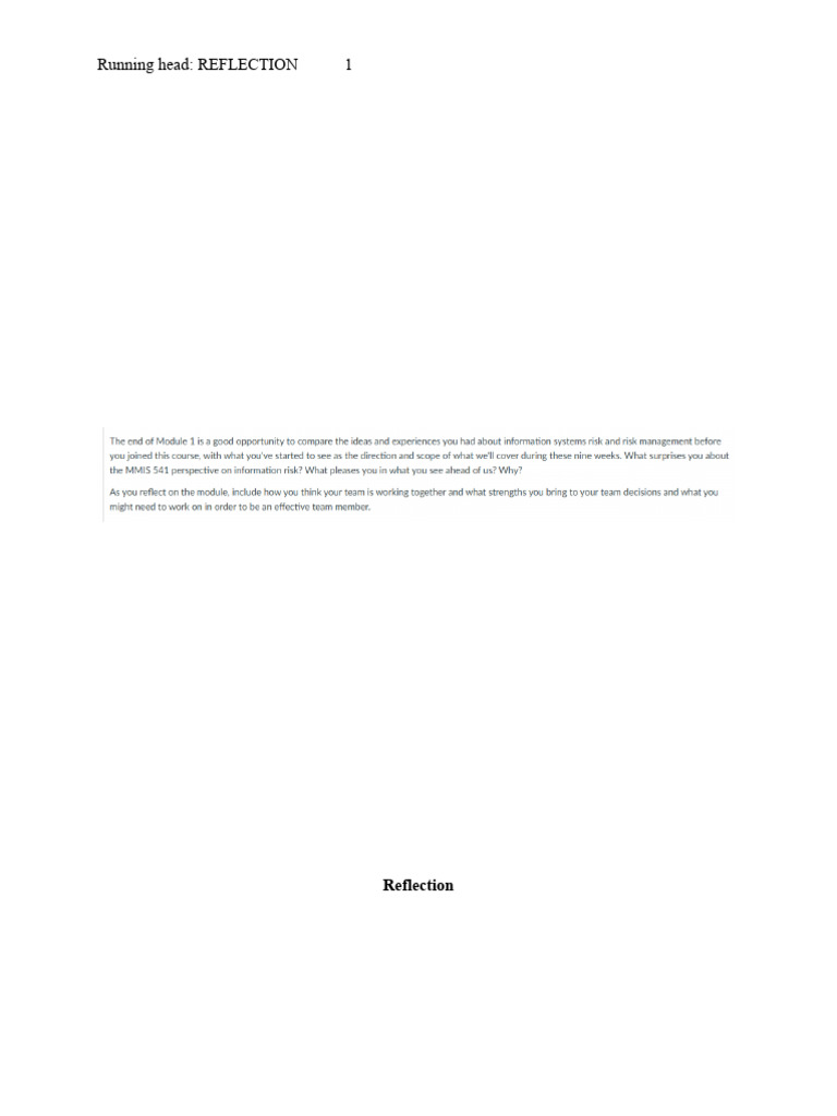 MMIS 541 Module 1 Assignment. | PDF
