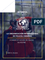 Sim Ib Interpol Study Guide