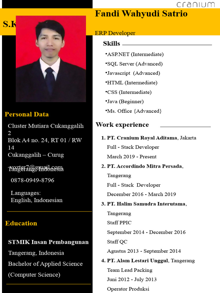 CV Template | PDF | Software Development | Computer Engineering