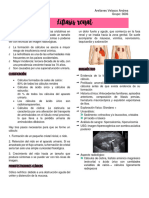 Litiasis Renal