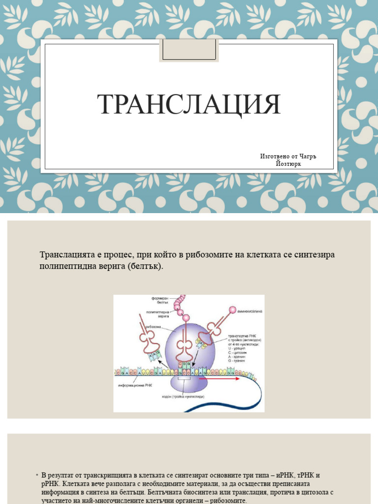 'Транслация | PDF