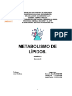 Metabolismo de Lípidos y Ácido Citrico