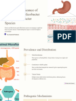 Clinical Significance of Gastric Non Helicobacter Pylori Helicobacter Species