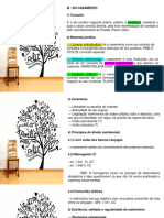 Direito Civil VI - 16.03.2021