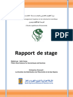 rapport_de_stage_dimpregnation_SONELGAZ (1)