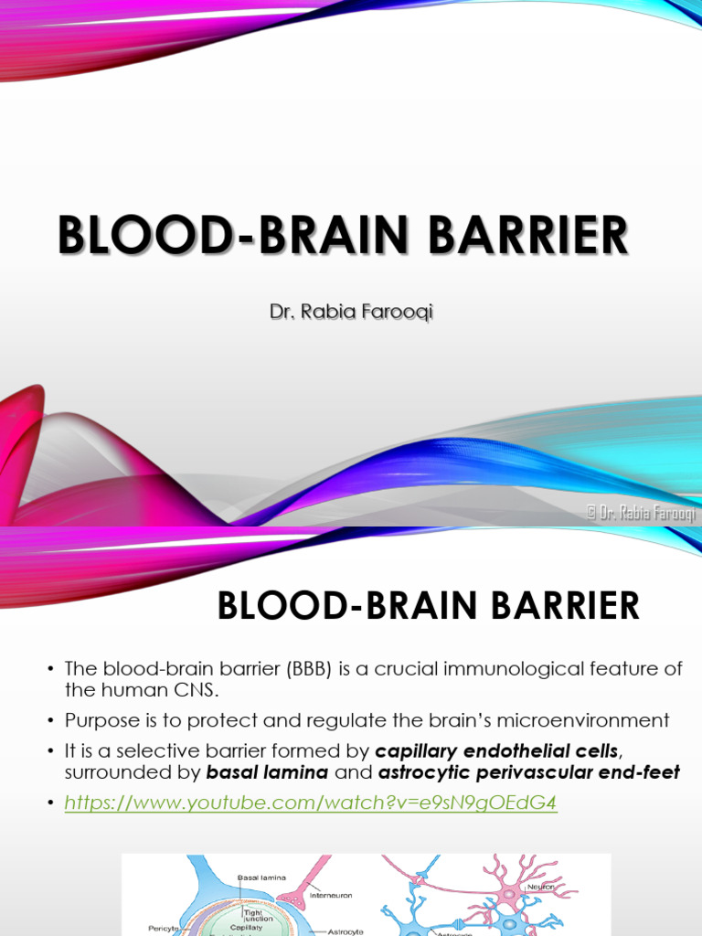 Blood Brain Barrier and Neuroanatomical Planes | PDF | Central Nervous ...