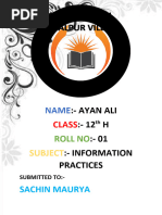 PDF Document