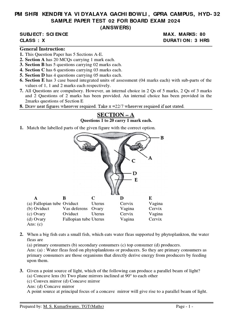 scienceclassxsamplepapertest02forboardexam2024answers PDF