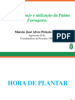 Palma Forrageira - Palestra