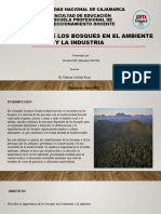 Importancia de Los Bosques en El Ambiente y La Industria